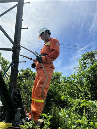 Chung tay xây dựng môi trường “Xanh – Sạch – Đẹp” tại trụ sở Đội Truyền tải điện Tây Ninh.