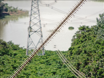 Đội Truyền tải điện Bù Đăng chủ động ứng phó trong mùa mưa bão