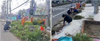 Đoàn viên Chi đoàn Đội Truyền tải điện Đồng Tháp ra quân cải tạo mảng xanh – Chung tay xây dựng môi trường “Xanh – Sạch – Đẹp”