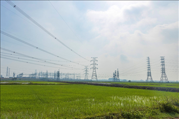 Truyền tải điện Thành phố Hồ Chí Minh đảm bảo cung cấp điện trước diễn biến bất thường của thời tiết