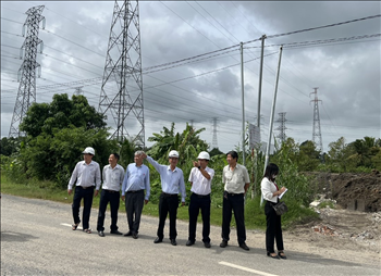 Sở Công Thương Thành phố Cần Thơ kiểm tra việc chấp hành pháp luật về bảo vệ an toàn công trình lưới điện và thiết bị điện cao áp trên địa bàn Thành phố Cần Thơ