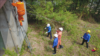 Chi đoàn Truyền tải điện Miền Đông 1 làm theo lời Bác  